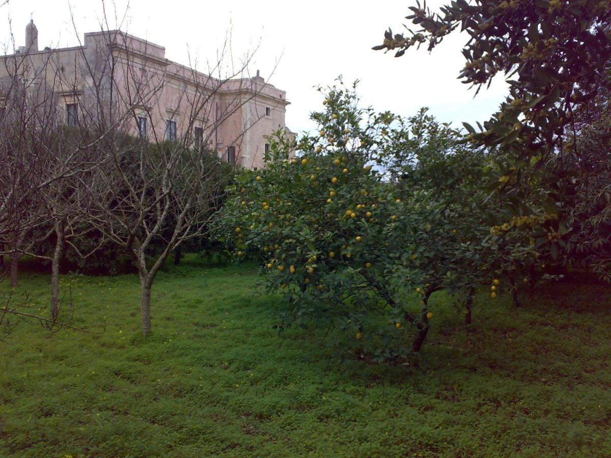 Aricelle Speziali Bed & Breakfast Specchia Gallone Екстериор снимка